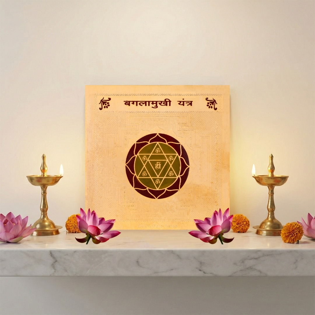 1 Mukhi Certified Rudraksha